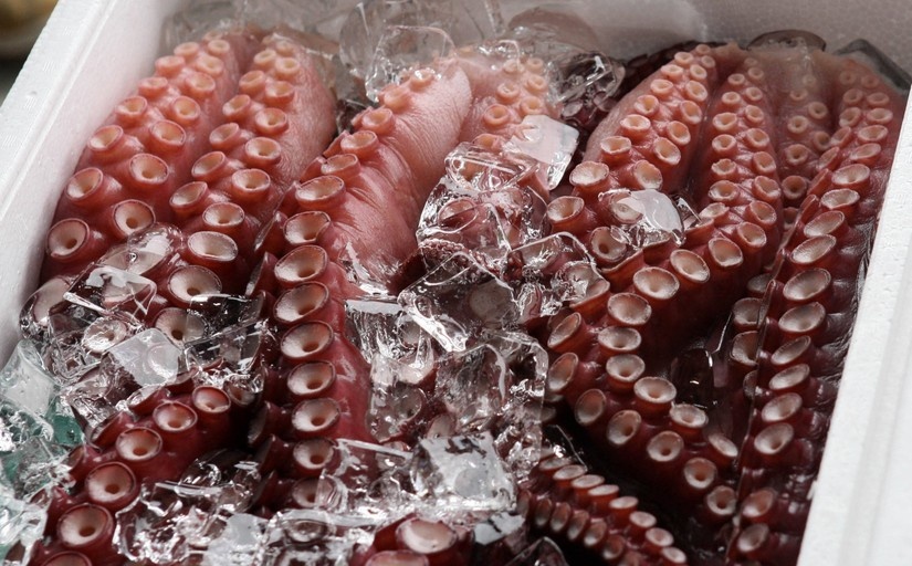 Trung Quốc tăng nhập khẩu mực, bạch tuộc từ Việt Nam