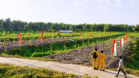 Petrovietnam tăng cường các giải pháp tạo tín chỉ carbon