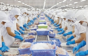 Nếu Mỹ công nhận Việt Nam là nền kinh tế thị trường, cơ hội nào cho ngành thủy sản?