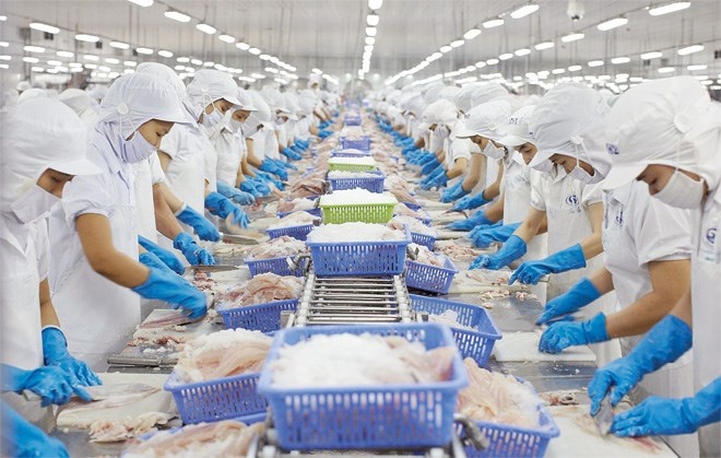Nếu Mỹ công nhận Việt Nam là nền kinh tế thị trường, cơ hội nào cho ngành thủy sản?