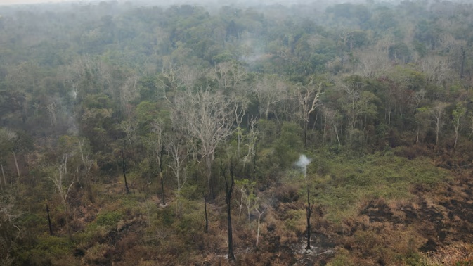 Vì sao rừng Amazon liên tục xảy ra cháy?