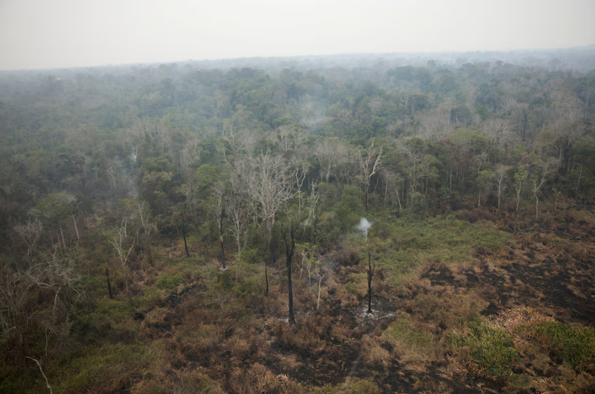 Vì sao rừng Amazon liên tục xảy ra cháy?