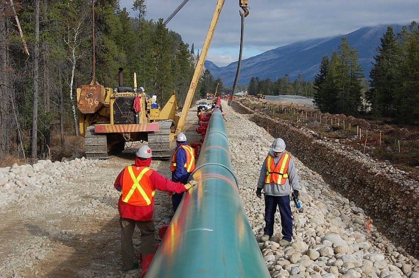 Các công nhân đang lắp đặt tuyến đường ống  Trans Mountain Pipeline Expansion - Ảnh: Alberta