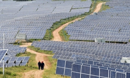 Trung Quốc: Rào cản thương mại của phương Tây gây nguy hiểm cho ngành năng lượng mặt trời