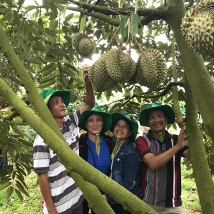 Phân bón Phú Mỹ: Bí quyết cho mùa bội thu với cây dưa hấu và sầu riêng ở miền Trung - Tây Nguyên
