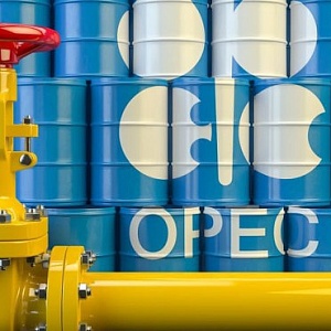 Giới lọc dầu Châu Á kỳ vọng gì vào OPEC+?
