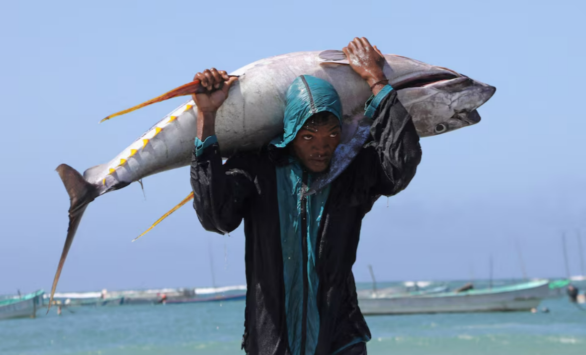 FAO: Nuôi trồng thủy sản trở thành nguồn cung cấp cá chính trên toàn cầu