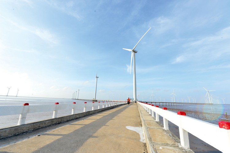 Theo Quy hoạch điện VIII, đến năm 2030, công suất điện gió ngoài khơi phục vụ nhu cầu điện trong nước đạt khoảng 6.000 MW. Ảnh: Quốc Tuấn