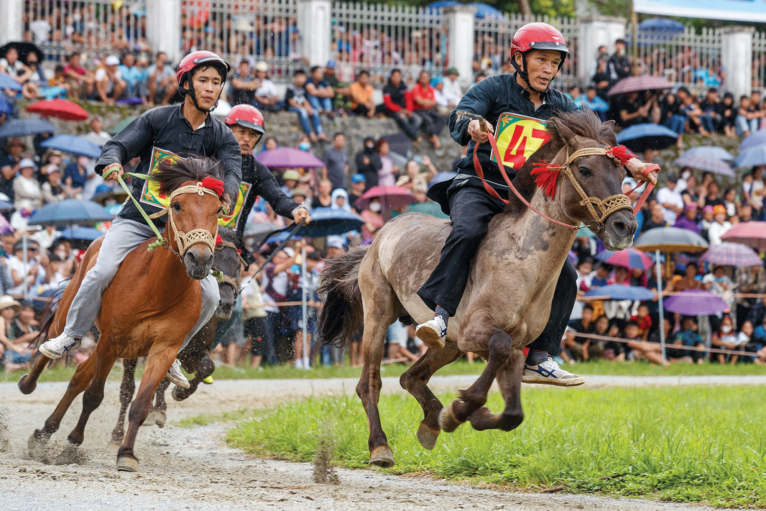 Độc đáo lễ hội đua ngựa Bắc Hà