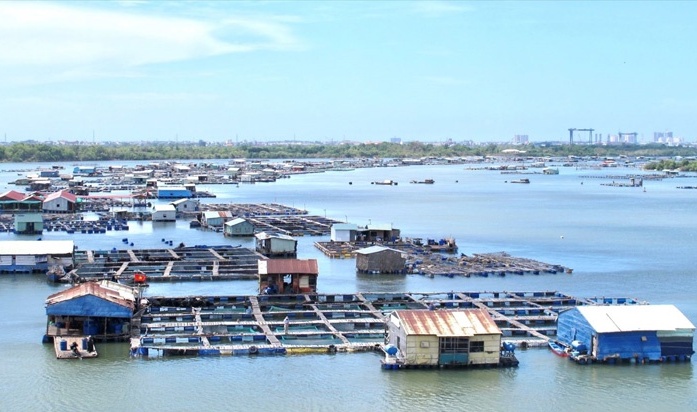 Bà Rịa - Vũng Tàu: Phát động cuộc thi đổi mới sáng tạo ngành thủy sản
