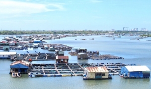 Bà Rịa - Vũng Tàu: Phát động cuộc thi đổi mới sáng tạo ngành thủy sản