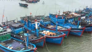 Quảng Trị: Tập trung giải quyết dứt điểm tàu cá "3 không"