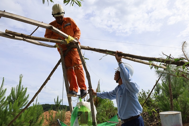 Tình đồng nghiệp giữa “chảo lửa” miền Trung