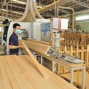 Tin tức kinh tế ngày 10/7: Xuất khẩu gỗ và sản phẩm gỗ tăng trưởng tích cực