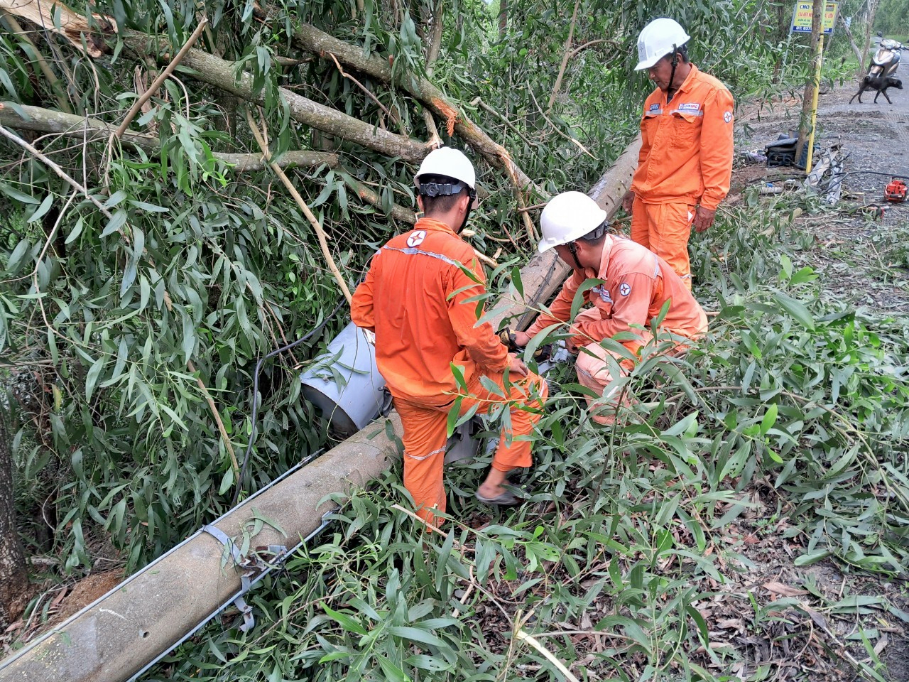 EVNSPC cảnh báo nguy cơ mất an toàn điện mùa mưa bão