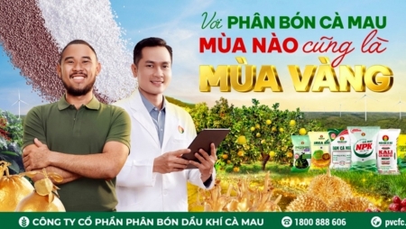 Phân bón Cà Mau: Đồng hành cùng những "mùa vàng" của bà con nông dân