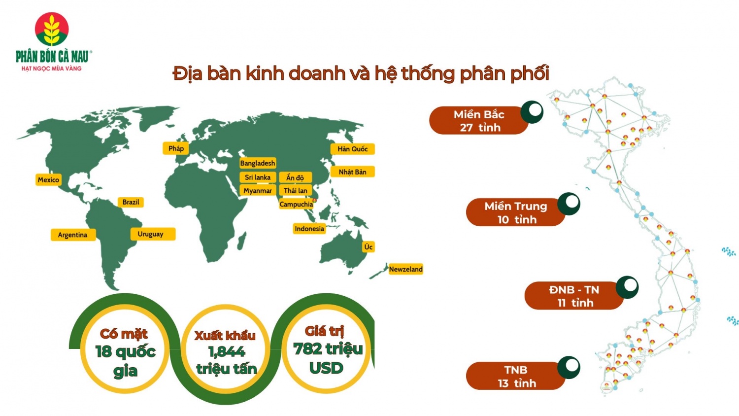 Phân bón Cà Mau: Bước chân vững chắc trên hành trình vươn ra biển lớn