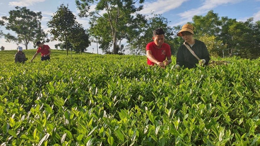 Agribank tiên phong đầu tư phát triển nông nghiệp sạch, nông nghiệp công nghệ cao