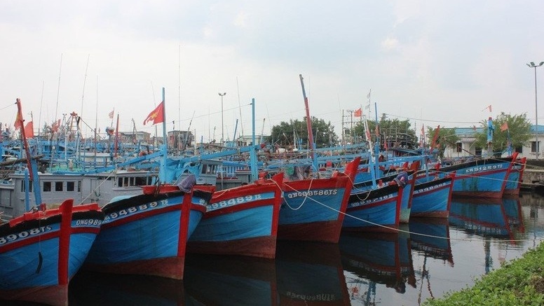 Quảng Ngãi tập trung cao điểm đăng ký, cấp phép tàu "3 không"