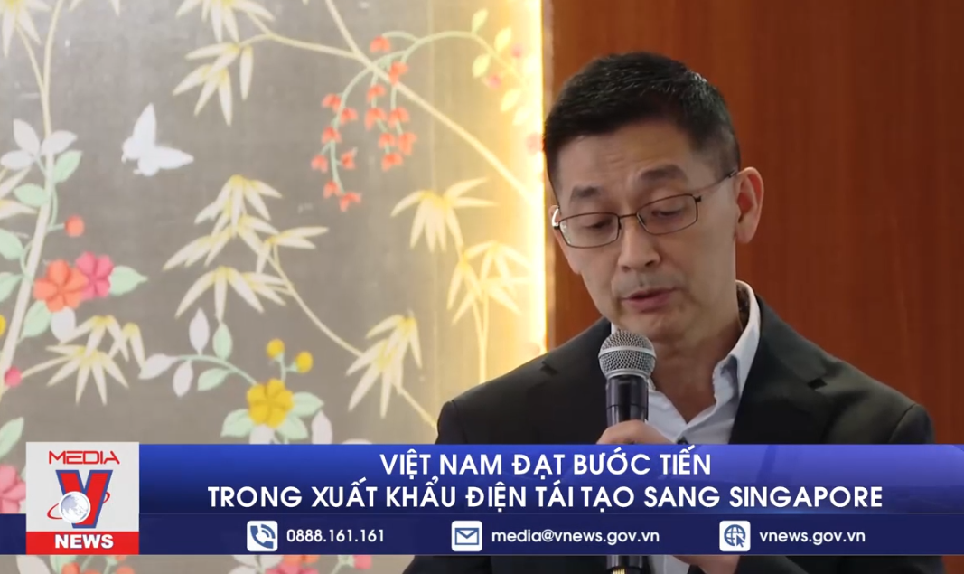 [VIDEO] Việt Nam đạt bước tiến trong xuất khẩu điện tái tạo sang Singapore