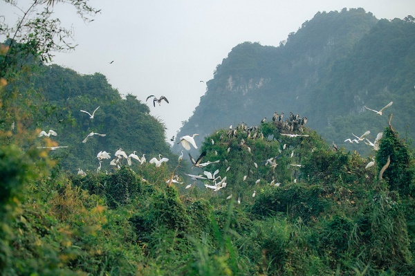 Khu du lịch sinh thái Thung Nham: Điểm đến của du khách yêu thiên nhiên