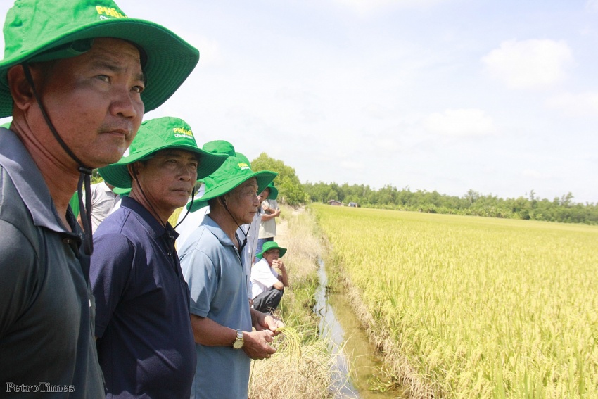 Vì sao nói áp thuế VAT phân bón 5% nông dân được thụ hưởng?