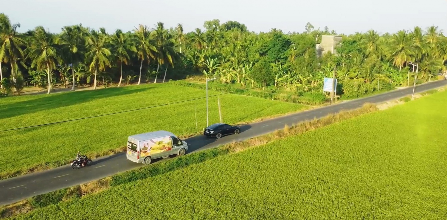 Cùng Phân Bón Cà Mau thức giấc với mùa vàng tại ĐBSCL