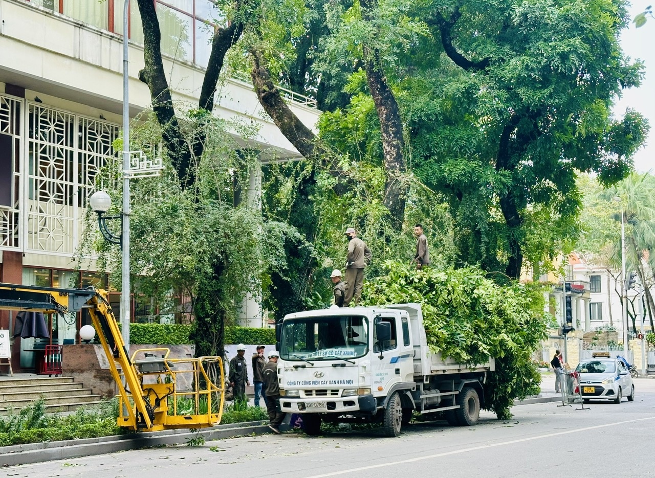 Các địa phương sẵn sàng phương án ứng phó với bão Yagi