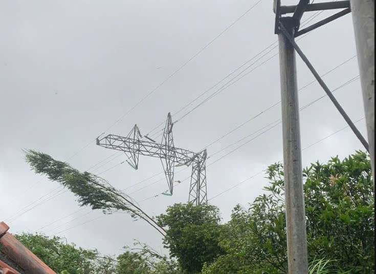 Tại Quảng Ninh, thống kê nhanh cho thấy 14 trạm biến áp 110 kV bị tách khỏi vận hành, 84 đường dây trung áp gặp sự cố do bão Yagi. Hiện 4 lộ đường dây đã được ngành điện khắc phục. Khoảng hơn 274.000 khách hàng trên địa bàn bị gián đoạn cấp điện.