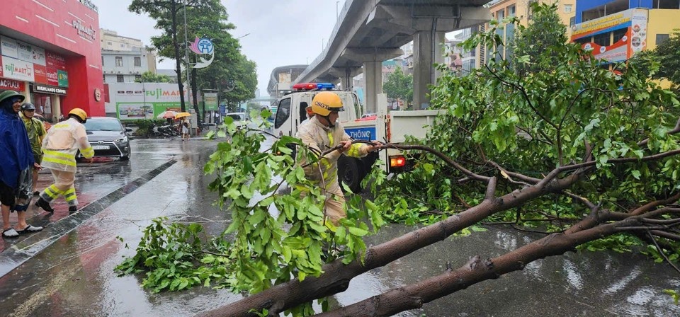 Cảnh sát giao thông xử lý, dọn dẹp cây đổ trên đường Trần Phú, quận Hà Đông. Bão Yagi đổ bộ vào Hà Nội, mưa lớn khiến nhiều tuyến phố ngập cục bộ