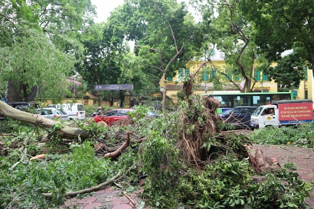 Hà Nội tan hoang sau "siêu bão" Yagi