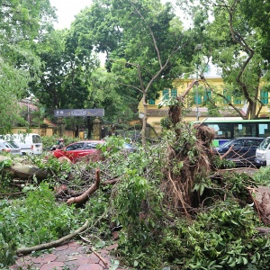 Hà Nội tan hoang sau "siêu bão" Yagi