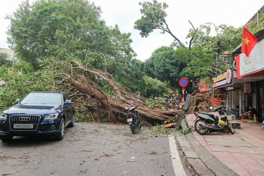 [Chùm ảnh] Đường phố Hà Nội ngổn ngang sau bão