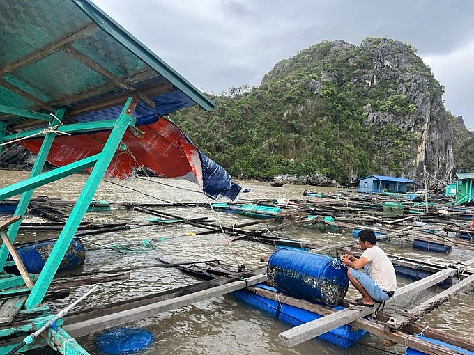 Ngành thủy sản miền Bắc bị tàn phá nặng nề do bão số 3