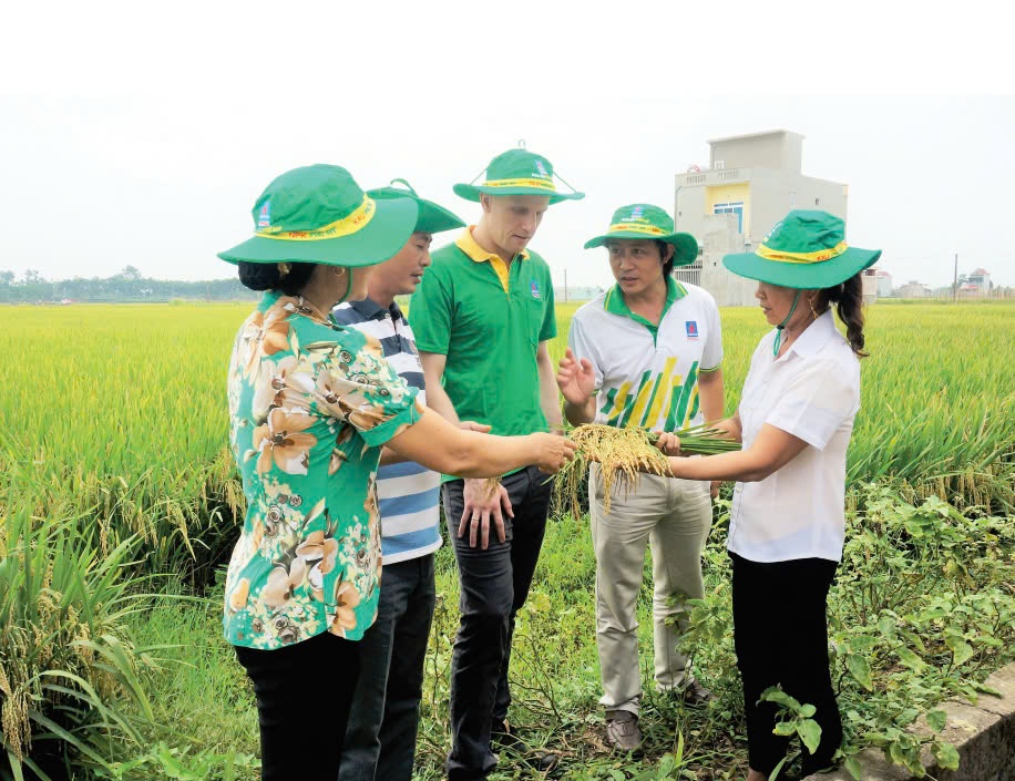 Vượt nhiều thách thức để phát triển ngày càng vững mạnh