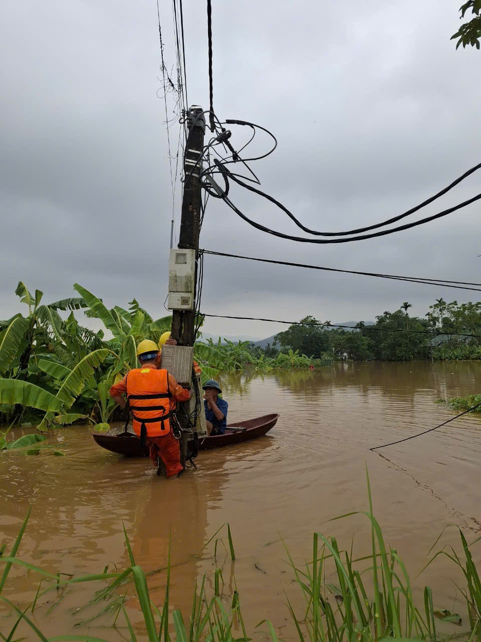 Điện lực miền Trung cử 245 cán bộ đến Quảng Ninh hỗ trợ khôi phục lưới điện