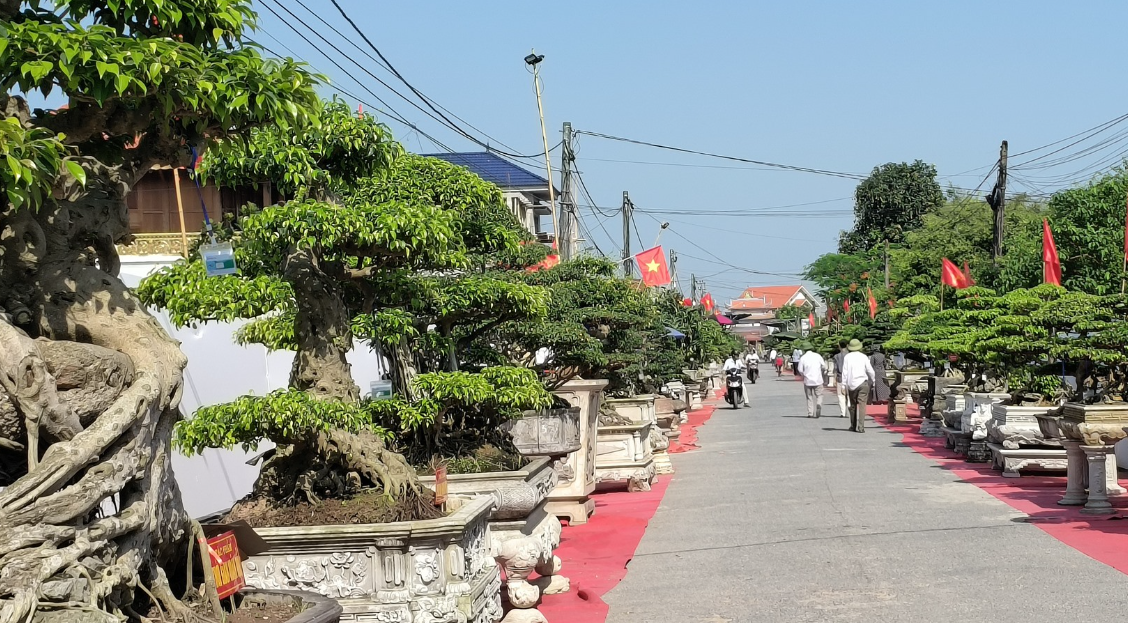 Hà Nội: Đấu giá sinh vật cảnh ủng hộ đồng bào bị bão lũ