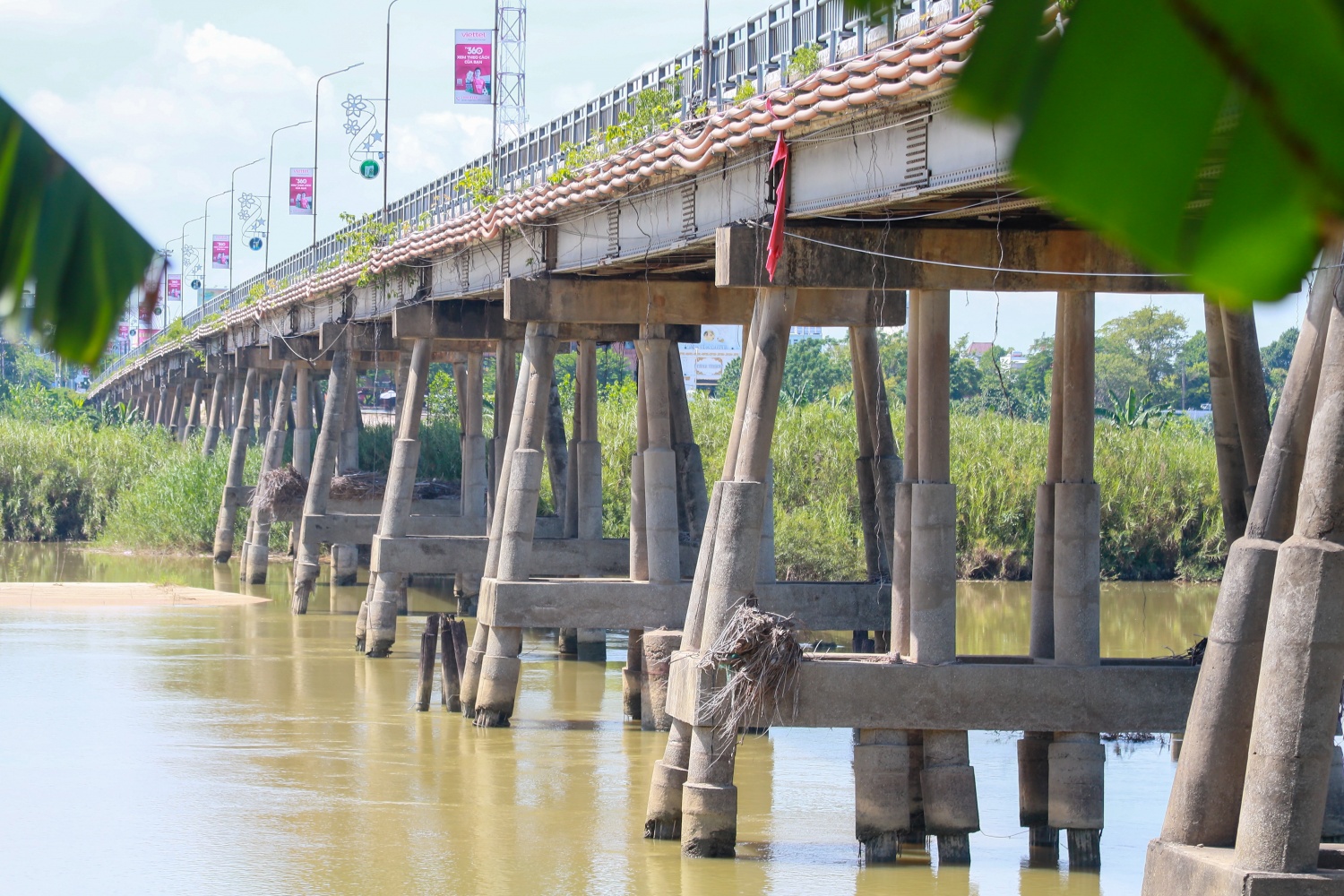 Đa số các phần chân móng cọc bê tông qua thời gian đều bị nước lớn xói mòn, chỉ còn trơ lại phần sắt bên trong.