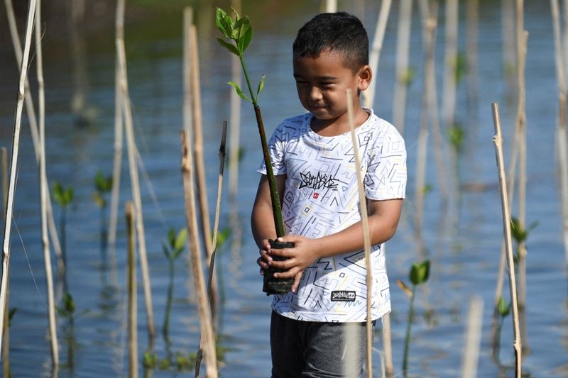 Indonesia bán tín chỉ carbon lập quỹ xanh trị giá 65 tỷ USD