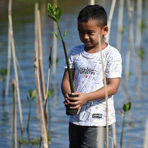 Indonesia bán tín chỉ carbon lập quỹ xanh trị giá 65 tỷ USD