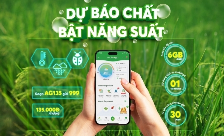 Nông nghiệp Việt Nam cho thấy tín hiệu khả quan trong 6 tháng đầu năm