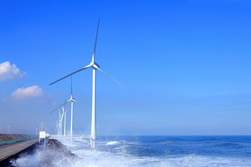 Nhật Bản quyết tâm cứu ngành điện gió ngoài khơi