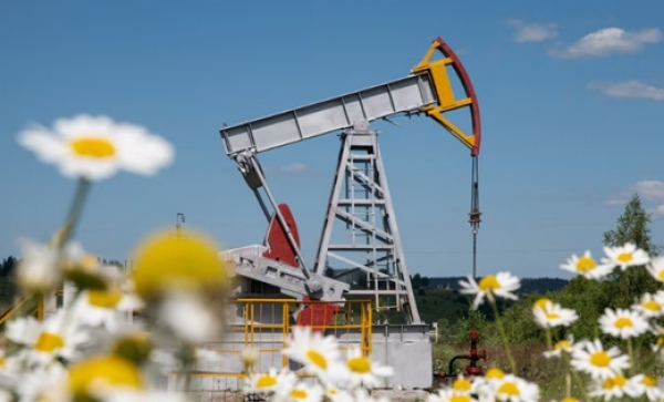 nangluongquocte.petrotimes.vn