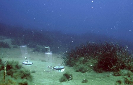 “Kho chứa” CO2 đầu tiên dưới đáy biển
