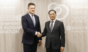 Việt Nam - Liên bang Nga nhất trí nghiên cứu mở rộng hợp tác trong các lĩnh vực năng lượng mới