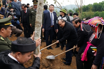 Thủ tướng phát động Tết trồng cây đời đời nhớ ơn Bác Hồ
