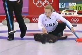 Cat Curling - Ném mèo trên băng tại Olympic Sochi