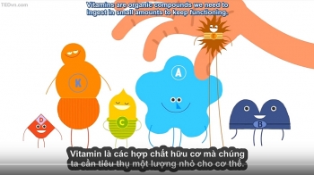 [VIDEO] Vitamin hoạt động như thế nào?