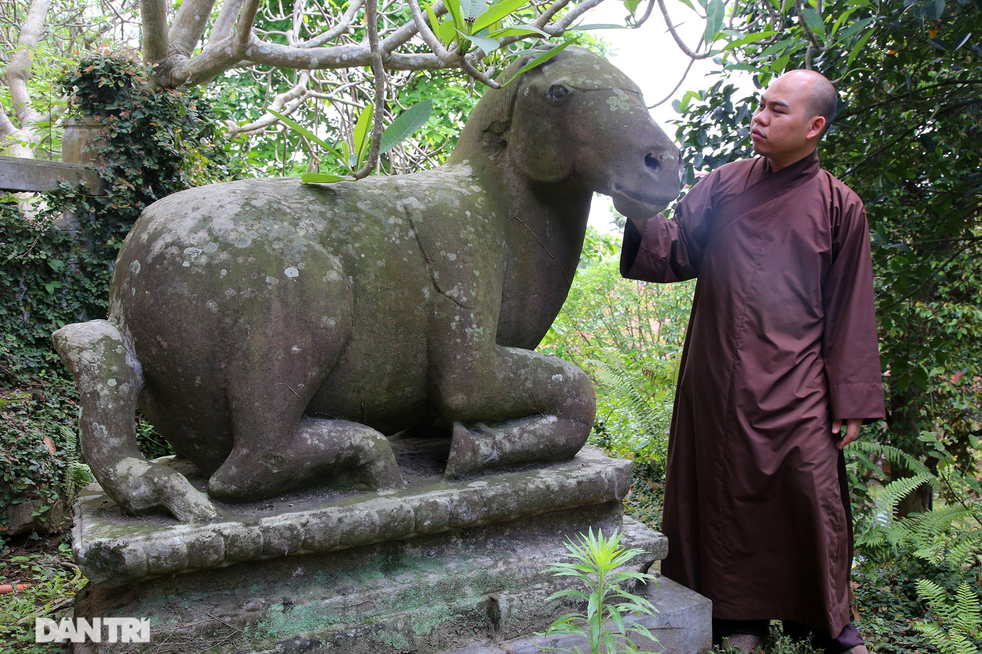 Kỳ lạ 10 linh thú đá nghìn năm tuổi canh gác chùa Phật Tích - 12