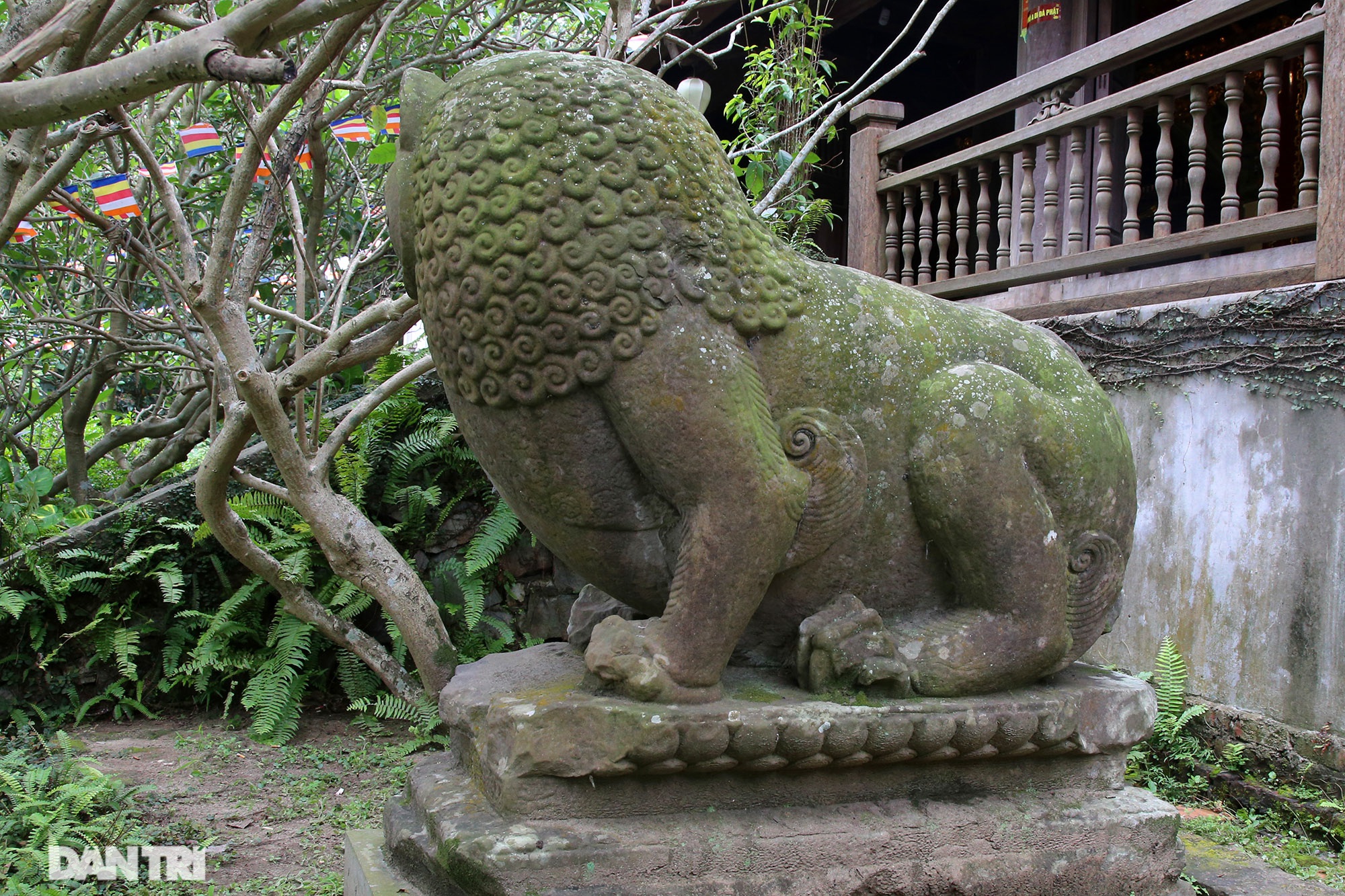 Kỳ lạ 10 linh thú đá nghìn năm tuổi canh gác chùa Phật Tích - 13